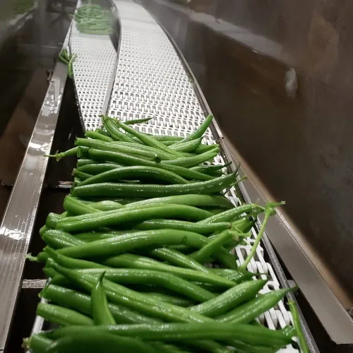 Vista 7 de Foster's Frijoles verdes en escabeche en frasco, original, 16 onzas, paquete de 2, receta tradicional de verduras en escabeche durante más de 40