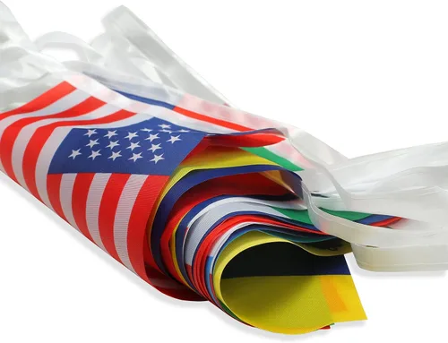 Vista 4 de ZXvZYT Bandera de América Latina con 21 países, banderín para colgar en español, banderín para decoración nacional de aula, escuela, deportes