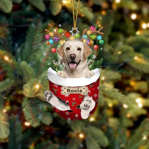 Vista 113 de LOVELYPOD Adorno Personalizado de Perro Affenpinscher, Adornos de Navidad Affenpinscher Regalo para Amante de Perros, Adorno de Navidad Colgante