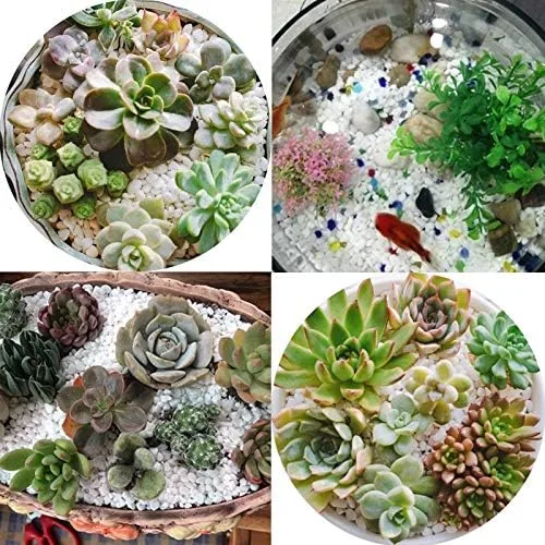 Vista 5 de Piedras decorativas pequeñas de 18 libras, piedras blancas pequeñas para acuario, grava, río roca, grava decorativa pulida natural, piedras