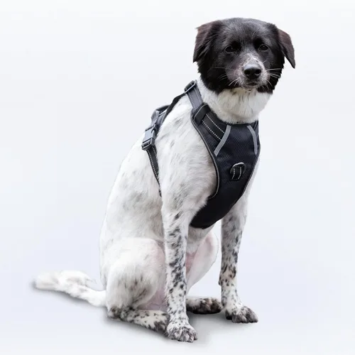 Vista 34 de Arnés antitirones para perro pequeño con 2 hebillas de liberación rápida y mango de fácil control, chaleco suave reflectante sin estrangulamiento