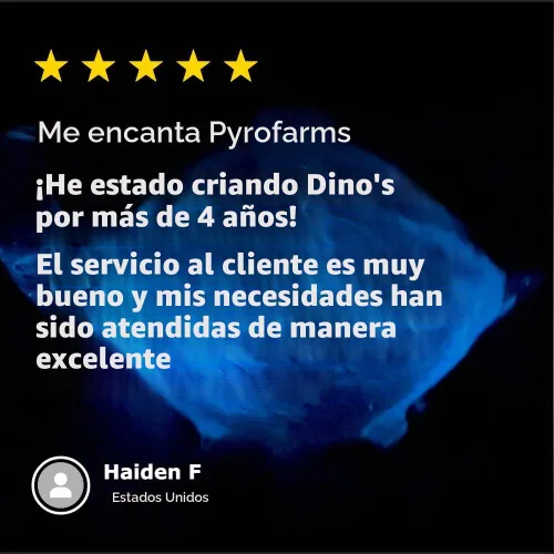 Vista 6 de DinoNutrient Paquete de 3 – Agua de mar filtrada del océano Pacífico con nutrientes para plancton bioluminiscente