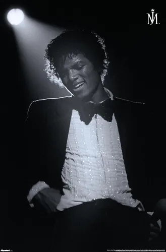 Vista 13 de Trends International Michael Jackson - Póster de pared Spotlight, 22.4 pulgadas de largo x 14.7 W, versión enmarcada en madera de granero Versión