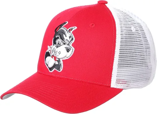 Vista 40 de ZHATS Sombrero Snapback ajustable para hombre Big Rig