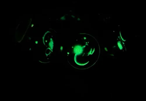 Vista 6 de JWPavilion Zodiac 12 Constellation Glow In The Dark Creative Galaxy Llavero plateado