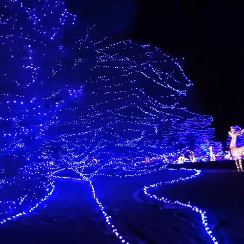 Vista 6 de Dazzle Bright - Guirnalda de luces de Navidad para exteriores, 1000 luces LED de 328 pies, enchufe de luz de hada con control remoto, 8 modos