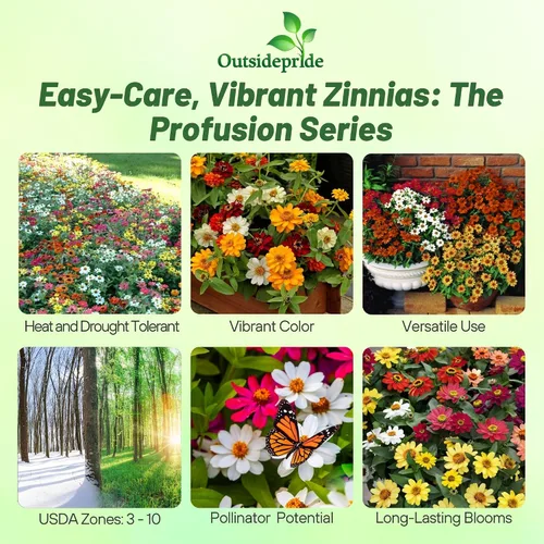 Vista 2 de Outsidepride - Zinnia, 25 semillas anuales, Hybrida Profusion Double, flores para plantar