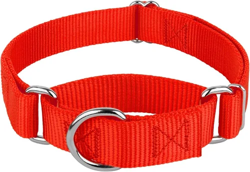 Vista 24 de Country Brook Petz - Collar Martingale para perro - Collar de entrenamiento resistente sin hebilla - Collar para perro de servicio para todas