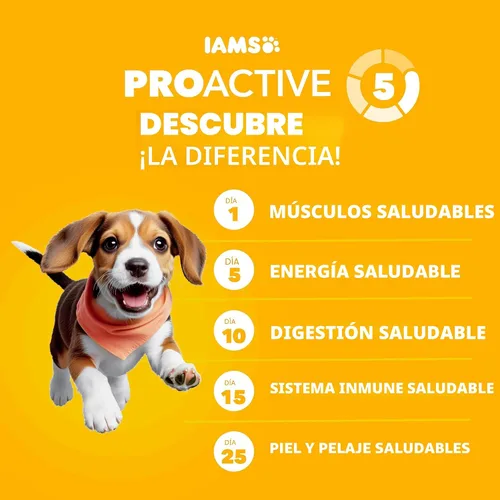 Vista 2 de IAMS Proactive Health - Alimento seco para cachorros de raza grande, pollo, 15 libras Real chicken #1 ingredient, Omega-3 DHA for cognitive &