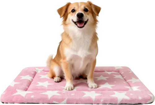 Vista 32 de Tapete para cama de perro, suave y cómodo, para jaula, cama y alfombrilla duradera para perros y gatos, ideal para jaulas, perreras y uso doméstico