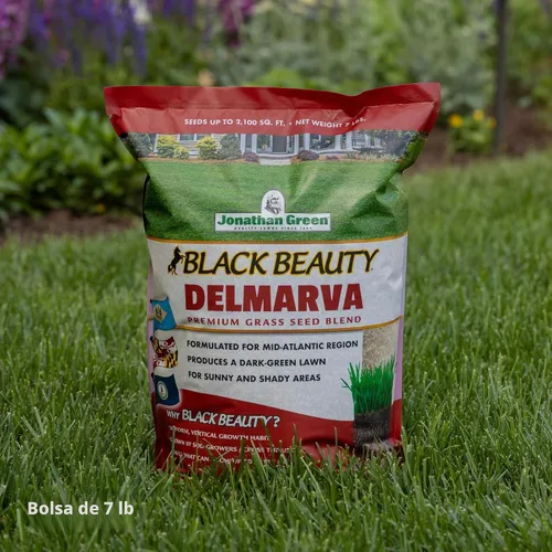 Vista 3 de Jonathan Green Black Beauty Delmarva - Semilla de hierba de 7 libras