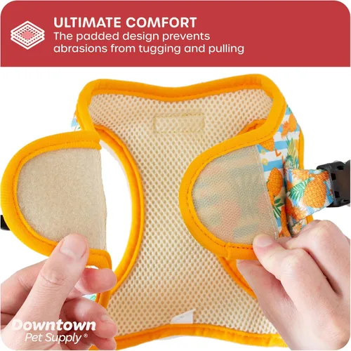 Vista 21 de Downtown Pet Supply Arnés para perro Step-in – Sin tirones, malla acolchada ajustable con ribete reflectante, correa de hebilla segura – Arnés