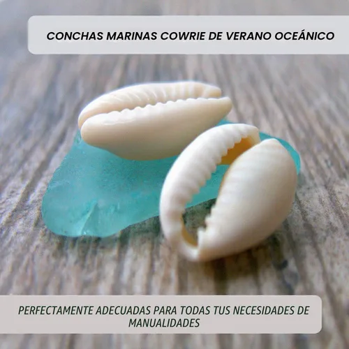 Vista 4 de 100 cuentas de concha de cauri, cuentas de concha en espiral natural blanca para hacer joyas, conchas de cowrie de playa de verano