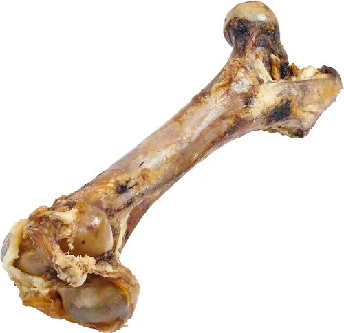 Vista 2 de EcoKind Hueso de fémur gigante para perros 1 hueso Huesos de perro de mamut de larga duración para masticadores agresivos, golosinas saludables