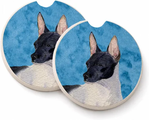 Vista 29 de Caroline's Treasures SS4767-BUCARC - Juego de 2 portavasos para automóvil, diseño de bulldog inglés, absorbentes para automóvil, portavasos