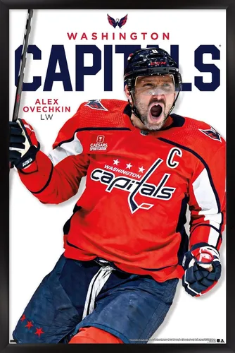 Vista 8 de Trends International NHL Washington Capitals - Póster de pared de la serie 23 de Alexander Ovechkin, 22.4 pulgadas de largo x 14.7 W, versión