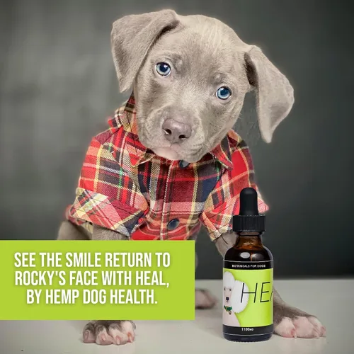 Vista 6 de HEAL - Aceite de cáñamo para mascotas para perros - Sistema inmunológico y apoyo para perros mayores - Equilibrio neurológico y suprarrenal - Gotas
