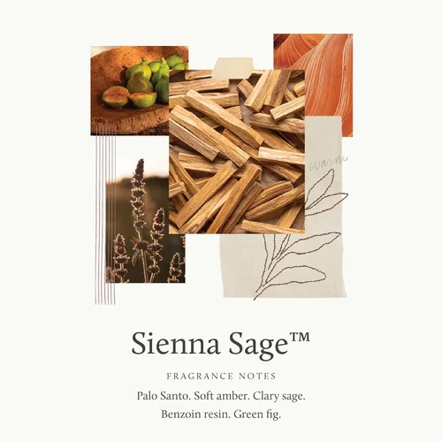 Vista 3 de Thymes Sienna - Recambio de aceite difusor de salvia (7.75 fl oz)