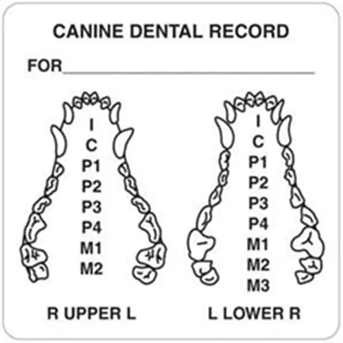 Vista 8 de Examen físico canino veterinario, Doctor Stuff Veterinarian Stickers, 2-1/2" x 2-1/2", Blanco, 240/Roll, Tabbies Vet V-AN315