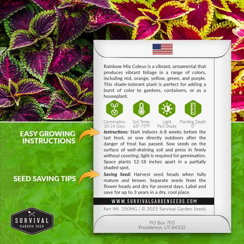 Vista 2 de Rainbow Mix Coleus Semillas para plantar, jardín de sombra anual, 1 paquete Indoor & Outdoor Plant with Colorful Foliage for Containers