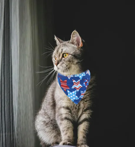 Vista 3 de Collares de Gato del Día de la Independencia con Bandana de Bandera Americana Separable con Campana para Mascotas, Gatito, Ajustable para Perros