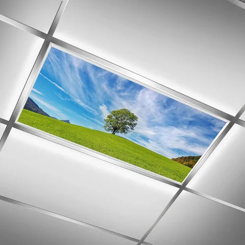 Vista 23 de Inserto de Cubierta de Luz de Techo Suspendido 4' x 2' pies (Naturaleza Bosque Hojas de Bambú Sol Verde) - Cubierta de Luz Fluorescente Reduce