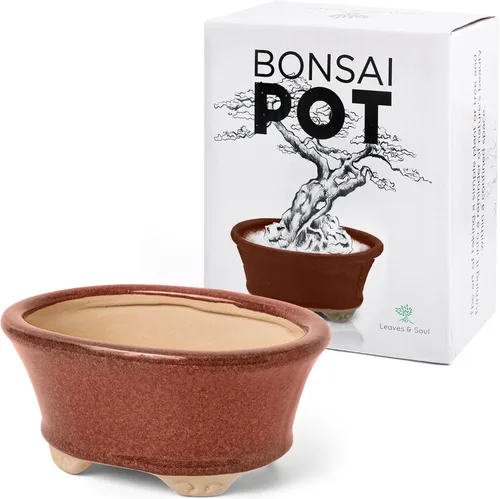 Vista 8 de Maceta para bonsái de cerámica esmaltada, maceta de cerámica para suculentas y plantas pequeñas, maceta rectangular negra perfecta para jardines