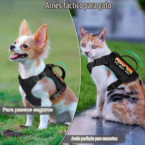Vista 4 de Arnés táctico para gatos grandes, solo arnés, negro, L