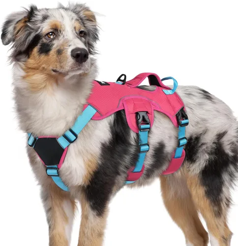Vista 49 de rabbitgoo Arnés de perro a prueba de escape para pequeños, sin tirones con Negro