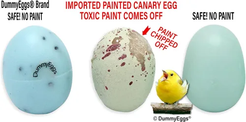 Vista 3 de para Canary. Reemplaza los huevos colocados con plástico, engaña a tu pájaro cada vez! 3/4 pulgadas x 5/8 pulgadas (0.728 x 0.591 in) 7