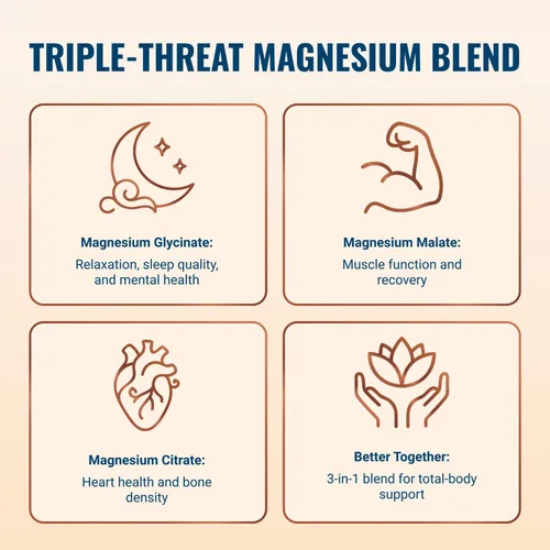 Vista 2 de Live Conscious Magwell Magnesio, Zinc y Vitamina D3 - Glicinato de magnesio, malato y citrato - Suplemento triple para mujeres y hombres