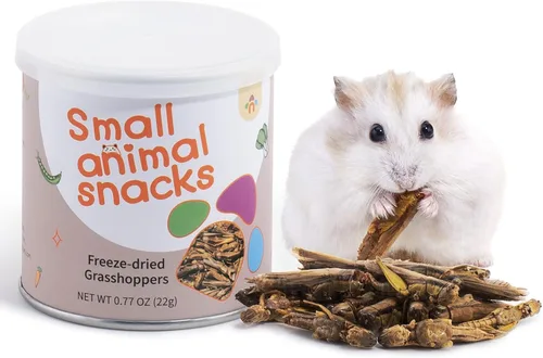 Vista 9 de Niteangel Bocadillos y golosinas para animales pequeños: gusanos secos y sin aditivos