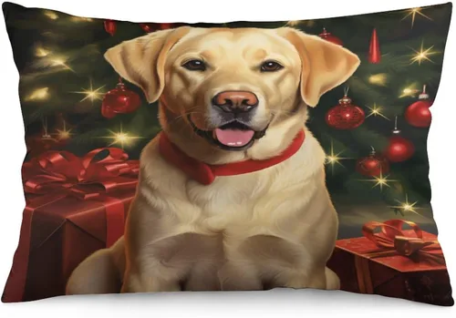 Vista 12 de Yellow Lab - Fundas de cojín de Navidad de 12 x 20 pulgadas, diseño de retrato de perro amarillo serio, labrador retriever, fundas de almohada