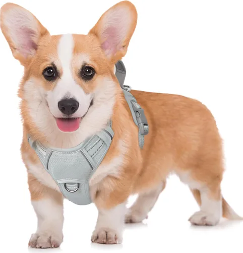 Vista 65 de BARKBAY Arnés para Perro Sin Tirones Talla Grande Arnés Reflectante para Perro con Clip Frontal y Asa de Control Fácil para Caminar Entrenar Correr