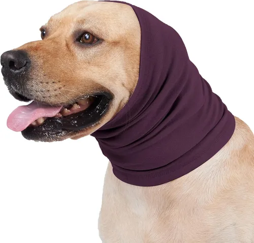 Vista 8 de Snood para gatos (paquete de 6), protección para la cabeza, hematoma, envoltura para las orejas, polaina para el cuello para gatos, azul, S