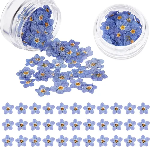 Vista 9 de Nuanchu Flores secas naturales "Don't Forget Me", flores secas prensadas reales para joyería, fabricación de velas, tarjetas, adornos de resina