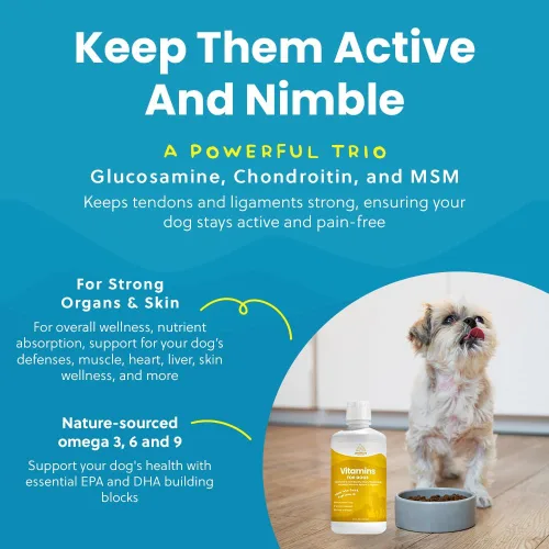 Vista 14 de Vitaminas y suplementos 100 % naturales para perros – Multivitamina líquida para perros – Vitaminas para perros mayores – Multivitaminas para perros