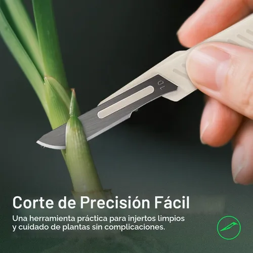 Vista 6 de VIVOSUN Cuchillas de acero de alto carbono #10 para plantas de corte