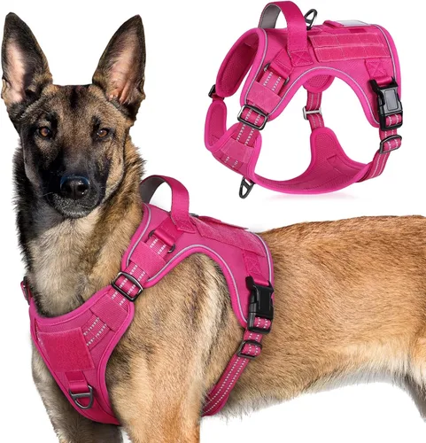 Vista 20 de rabbitgoo Arnés táctico para perros pequeños, chaleco de servicio militar sin tirones con asa y Molle, de fácil control para entrenar y caminar