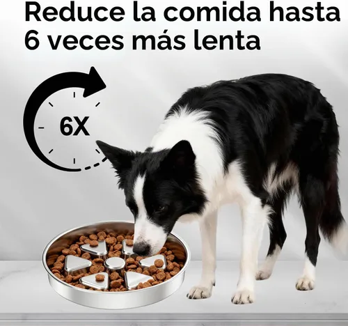 Vista 7 de Kactoily Cuencos para perros de alimentación lenta del acero inoxidable 304 Cuenco de acero inoxidable + base de silicona gris