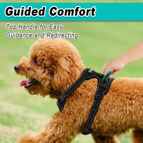 Vista 4 de BARKBAY Arnés para perro sin tirones para perros pequeños, ajustable, reflectante, cómodo, sin estrangulamiento, resistente, perfecto