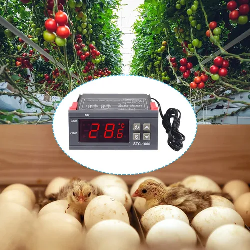 Vista 6 de 2 unids STC-1000 DC 110V-220V 10A controlador de temperatura LED digital interruptor de control de termostato 2 salidas de relé y sensores