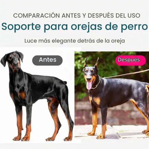 Vista 7 de Doberman - Kit de soporte para orejas de perro, herramienta de soporte para orejas de perro
