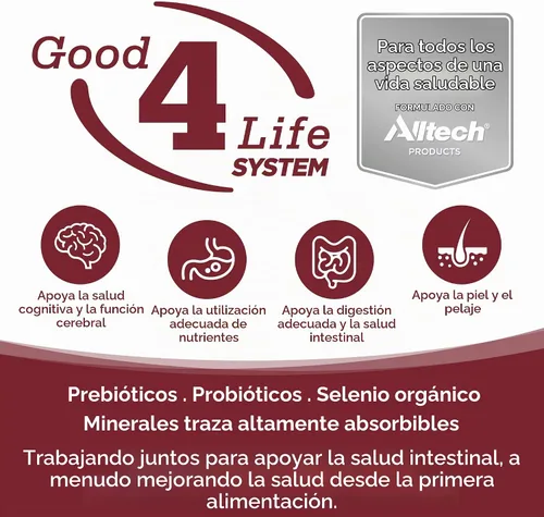 Vista 2 de NutriSource Alimento seco para perros, carne de res y arroz, 4 libras Apoyo digestivo probiótico y prebiótico, piel y pelaje saludables, sin trigo