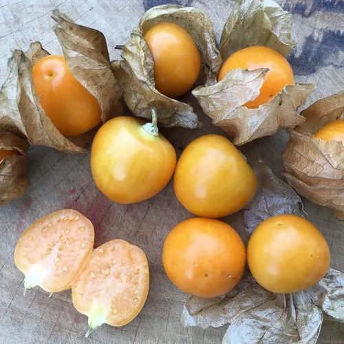 Vista 6 de Gaea's Blessing Semillas – Semillas de tomatillo – Semillas de reliquia sin OMG con instrucciones de siembra fáciles de seguir – Polinizadas La tía