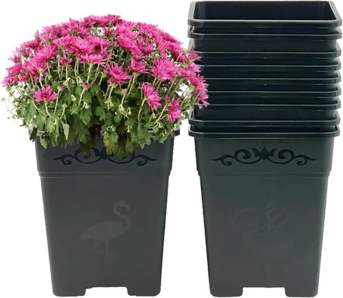 Vista 6 de Macetas cuadradas de plástico de 0.5 galones para plantas de interior y exterior, paquete de 10 con agujeros de drenaje, macetas de vivero de 5