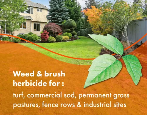Vista 3 de Pro Brush & Poison Ivy Killer – 32oz – (Comparar con Crossroad) Herbicida concentrado posemergente para plantas leñosas, cepillo y control