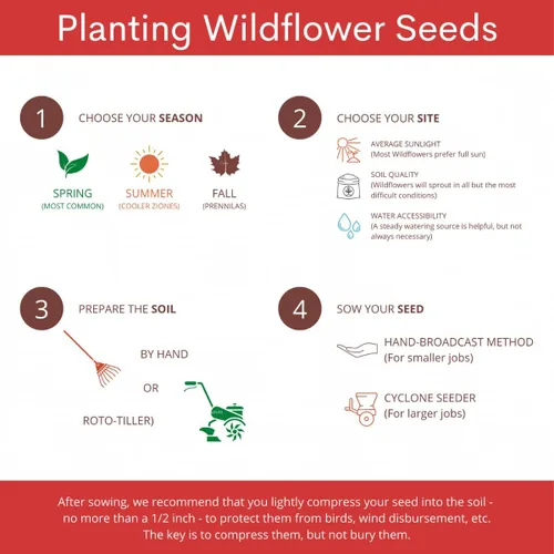 Vista 3 de Más de 6,000 semillas – Protect Monarch Butterflies Wildflower Mix – 27 variedades de flores silvestres – Polinizador – Flores perennes y anuales