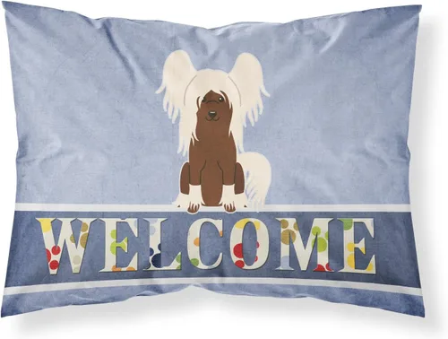 Vista 208 de Caroline's Treasures BB2515PILLOWCASE Between Friends Appenzeller Sennenhund - Funda de almohada de tela estándar, ligera, súper suave, fácil