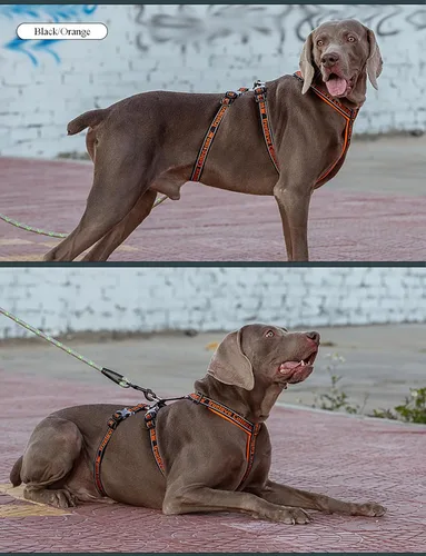 Vista 6 de Truelove TLH6571 - Arnés de nailon para perro, reflectante, ajustable, sin tirones, para perros pequeños, medianos y grandes, TLH6571 Negro/Naranja